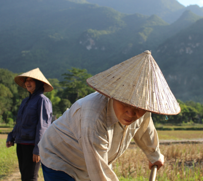 indo-china circuit explore now